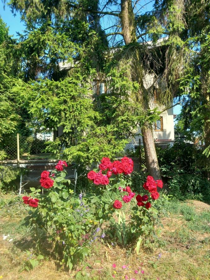 Bozkov Apartment In The City Of Pilsen מראה חיצוני תמונה